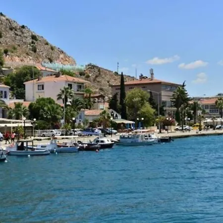 Séjour chez l'habitant Angora *